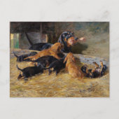 Dachshunds with Puppy in Stable Hermine Bieder ied Briefkaart (Voorkant)