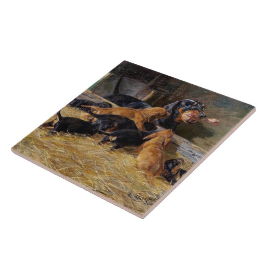 Dachshunds with Puppy in Stable Hermine Bieder ied Tegeltje (Zijkant)