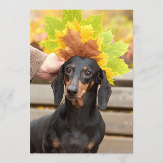 Dachsund Bar Menu (Achterkant)