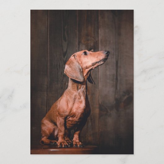 Dachsund Bar Menu (Achterkant)