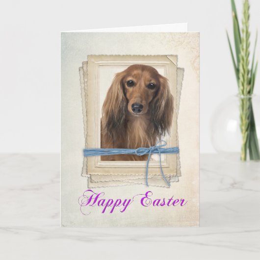 Dachsund Pasenkaart Feestdagen Kaart (Voorkant)