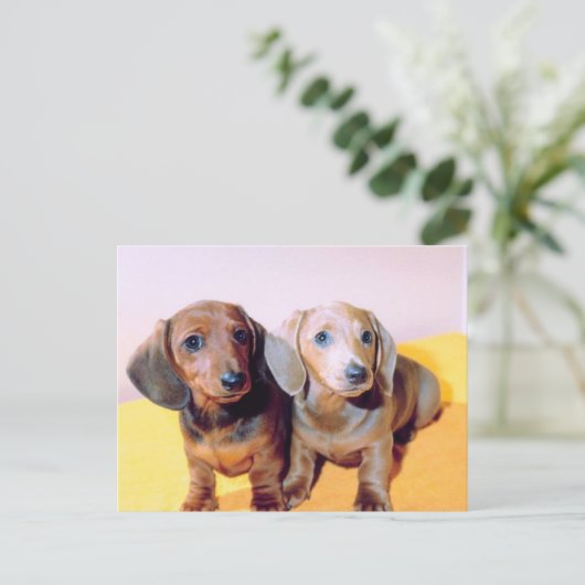 Dachsund Puppies Briefkaart (Staand voorkant)