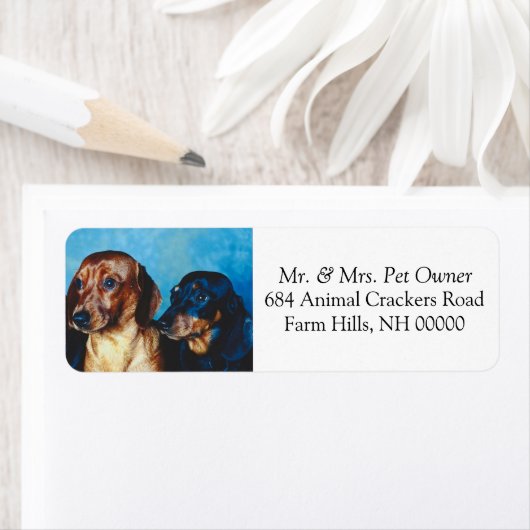 Dachsund Puppies Return Address Mail Stickers (Insitu)