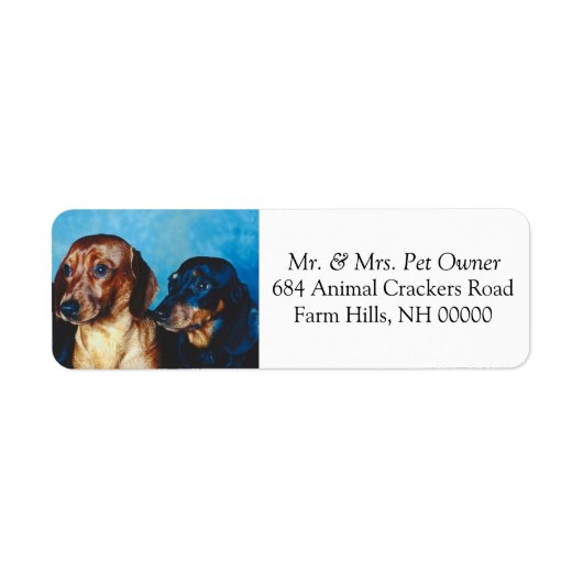 Dachsund Puppies Return Address Mail Stickers (Voorkant)