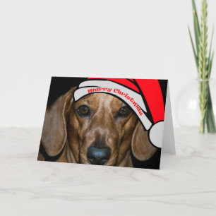 Dachsund's Merry Christmas-Kaart Feestdagen Kaart