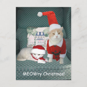 Dacht kerst! feestdagenkaart