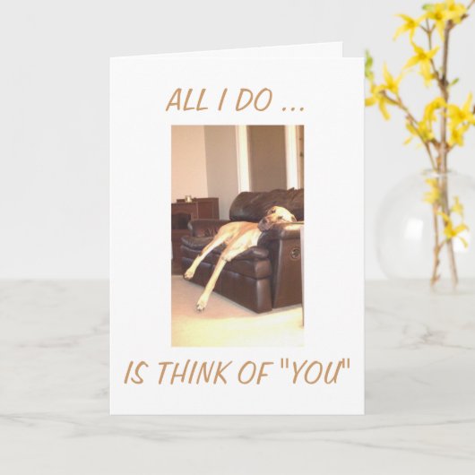 DACHT U DE HELE DAG VIA KAART (Gele Bloem)