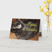 DACHT U IK ZOU VERGETEN? BIRTHADAY kaart (Gele Bloem)