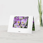 DACHTEN HOUDEN ~ Snel! Kaart (Achterkant)