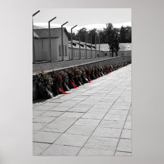 dachu2 poster (Voorkant)