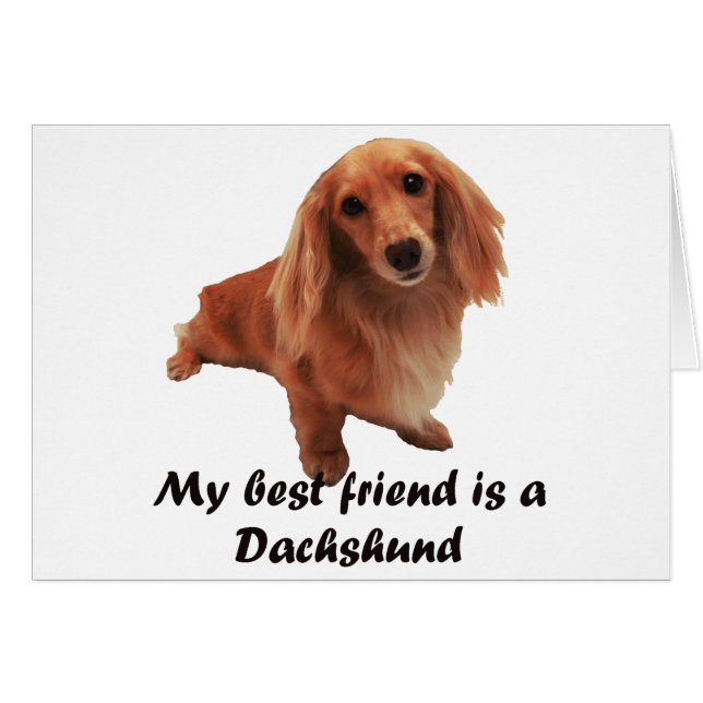 "Dackel" (Voorkant Horizontaal)