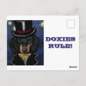 DACKEL     BRIEFKAART (Achterkant)