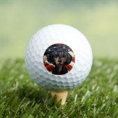 DACKEL GOLFBALLEN (Insitu Shirt)
