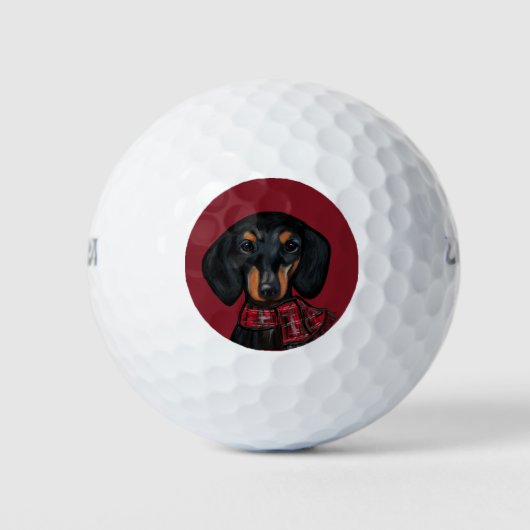 DACKEL GOLFBALLEN (Voorkant)