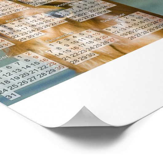 Dackel Kalender 2011 Poster (Hoek)