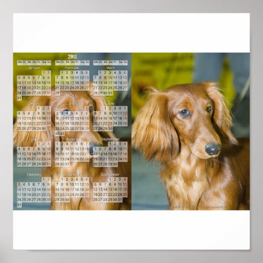 Dackel Kalender 2011 Poster (Voorkant)