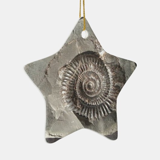 Dactylioceras-ammoniet in steen keramisch ornament (Rechts)