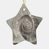 Dactylioceras-ammoniet in steen keramisch ornament (Links)