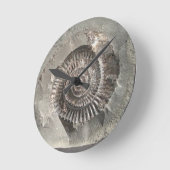 Dactylioceras-ammoniet in steen ronde klok (Hoek)