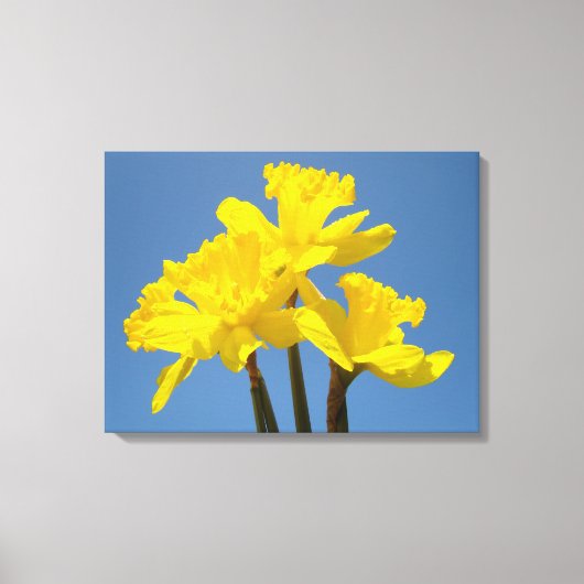 Daddofil Bloemen Canvas afdrukken Blauwe Lucht (Voorkant)