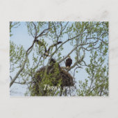 Daddys Home Briefkaart (Voorkant)