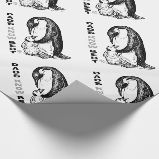 Dads Know Best Cadeaupapier (Hoek)