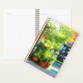 Daegu City Street Planner (Display)