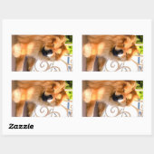 DAEJA BIJ DE Stickers VAN DE BEACHHOUSE-rechthoek (Vel)