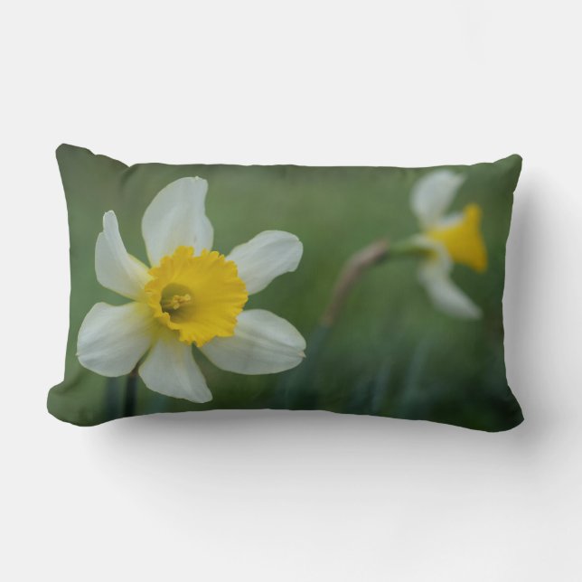 Daff-o-dilly! Kussen (Voorkant)