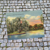 Daffin Park Lake Uitzicht Savannah GA retro Briefkaart