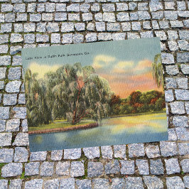 Daffin Park Lake Uitzicht Savannah GA retro Briefkaart