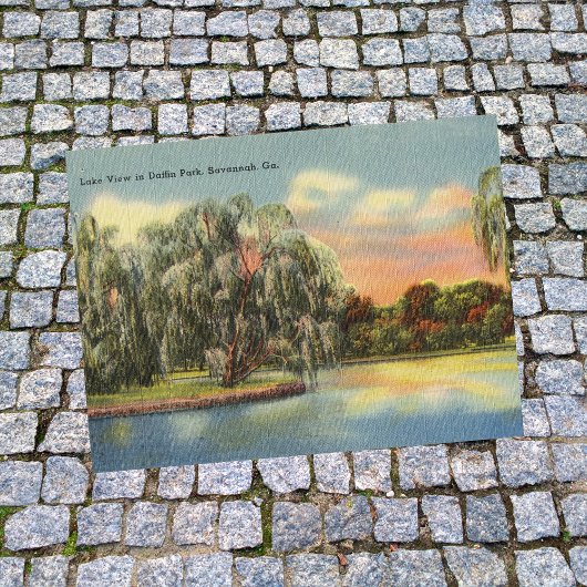 Daffin Park Lake Uitzicht Savannah GA retro Briefkaart