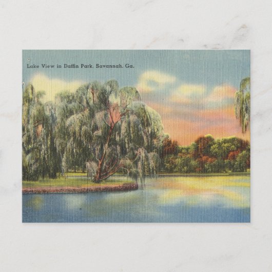 Daffin Park Lake Uitzicht Savannah GA retro Briefkaart (Voorkant)