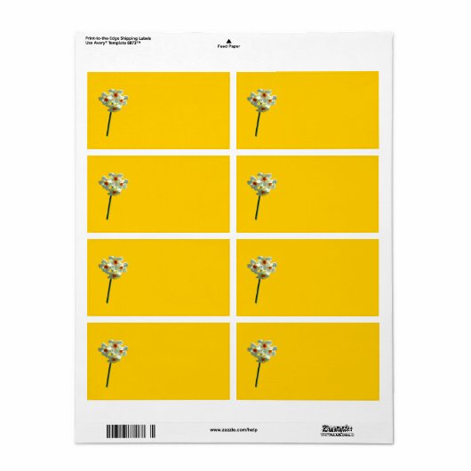 Daffodieletiket Etiket (Full Sheet)