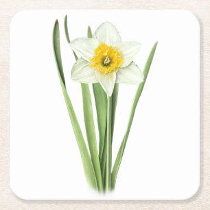 Daffodielventiel Kartonnen Onderzetters