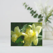 Daffodieten met waterdruppeltjes briefkaart (Staand voorkant)