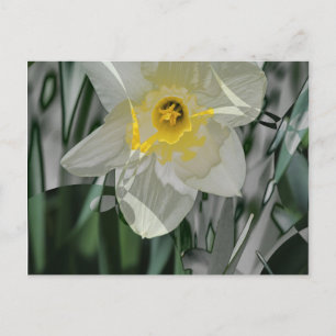 Daffodil 2015 briefkaart