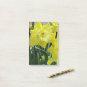 daffodil-22.JPG Post-it® Notes (Op bureau)