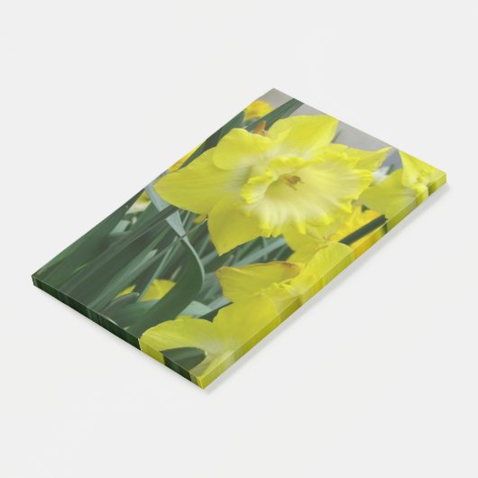 daffodil-22.JPG Post-it® Notes (Schuin)