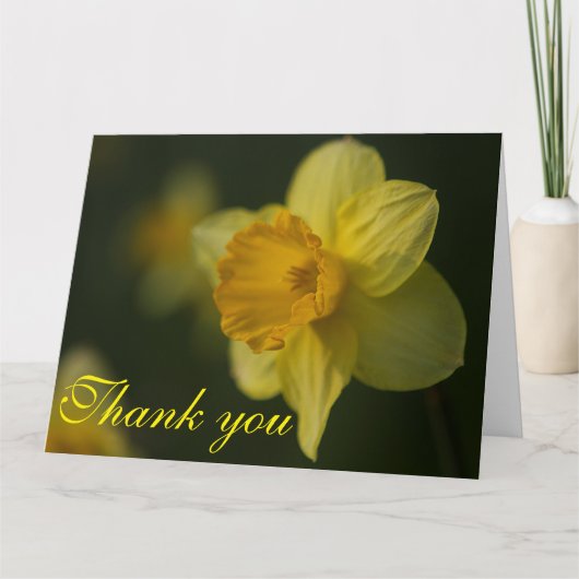 Daffodil Bedankkaart (Voorkant)
