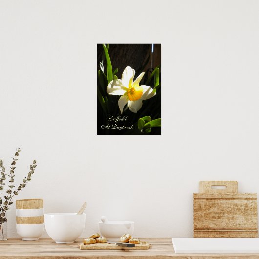 Daffodil bij Poster overdag (Keuken)