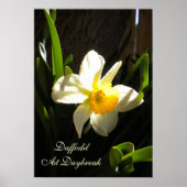 Daffodil bij Poster overdag (Voorkant)