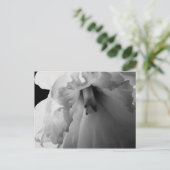 Daffodil Black en White Photography Briefkaart (Staand voorkant)