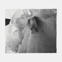 Daffodil Black en White Photography