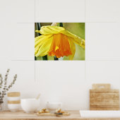 Daffodil Bloem Geel Fotografische Art Print (Keuken)