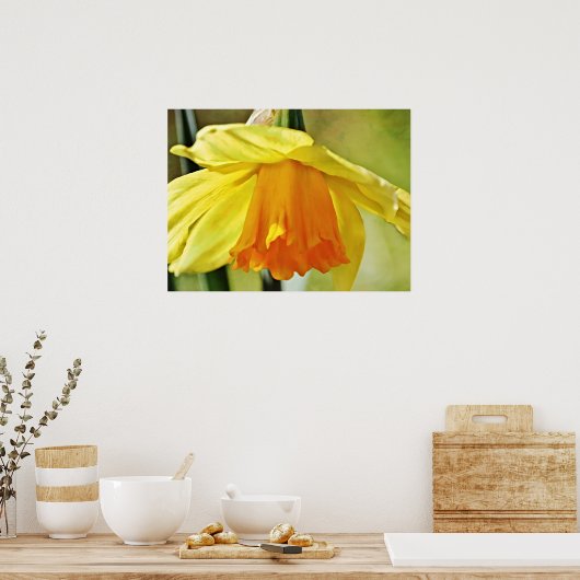 Daffodil Bloem Geel Fotografische Art Print (Keuken)