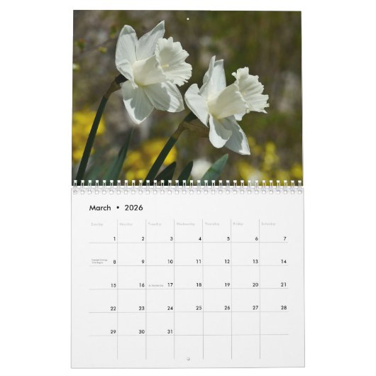 Daffodil Bloemen Bloemen 2020 Kalender (Mar 2026)
