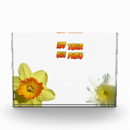 Daffodil Bloemen Cust. Fotoblok