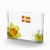 Daffodil Bloemen Cust. Fotoblok (Rechts)