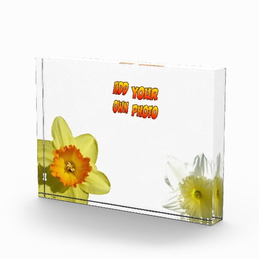 Daffodil Bloemen Cust. Fotoblok (Rechts)